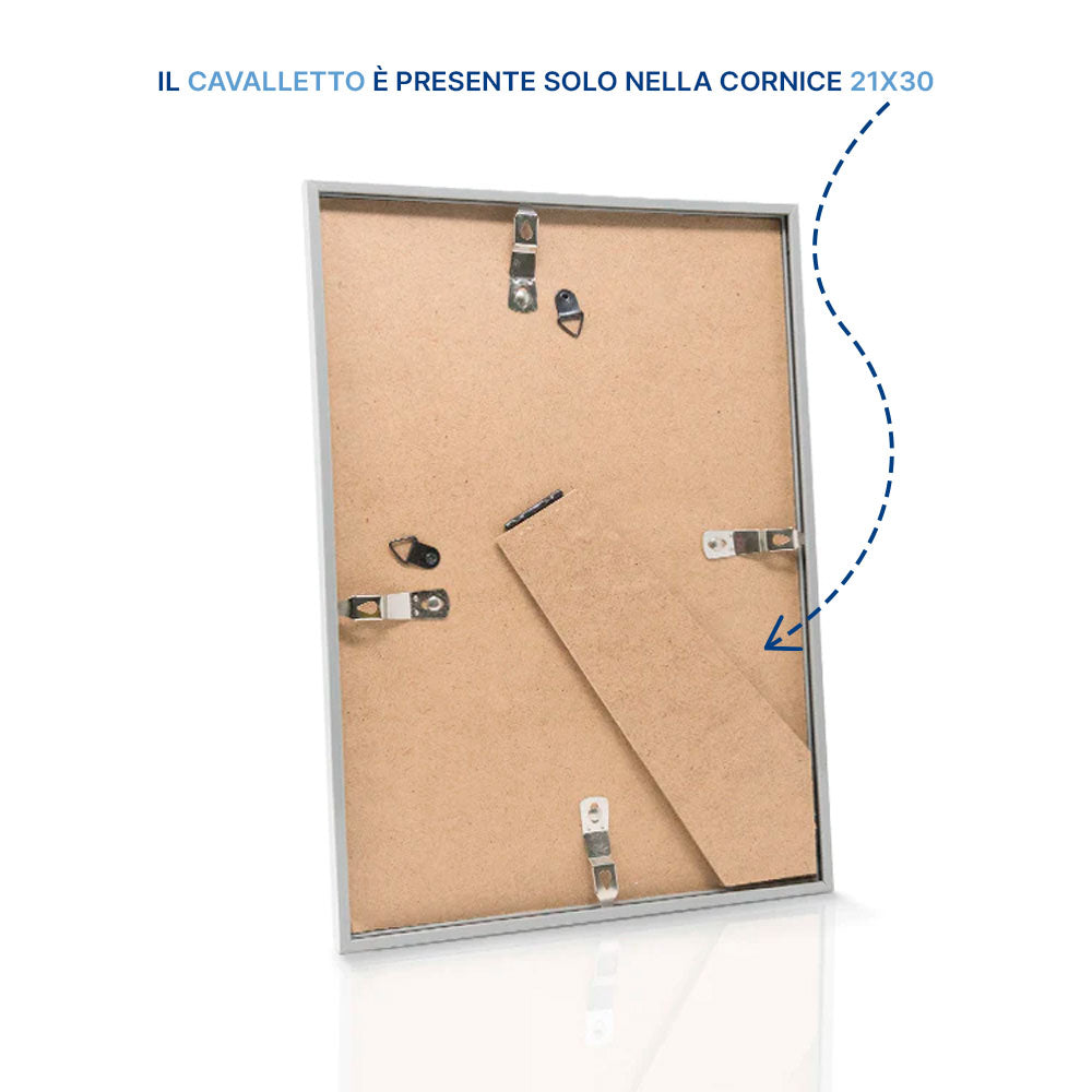 colore_cornice-argento